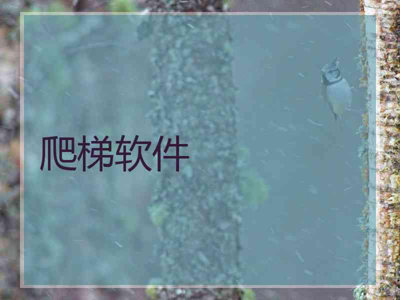 爬梯软件