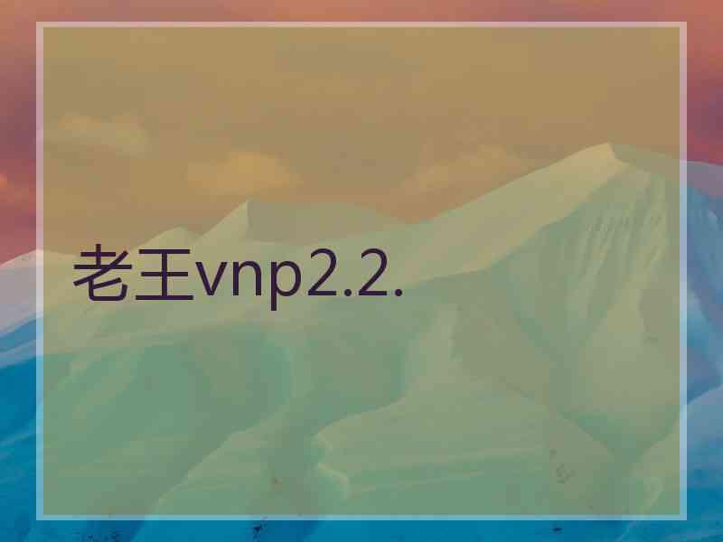 老王vnp2.2.