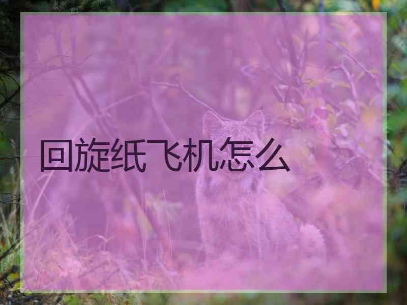 回旋纸飞机怎么