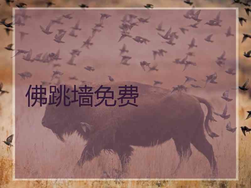 佛跳墙免费