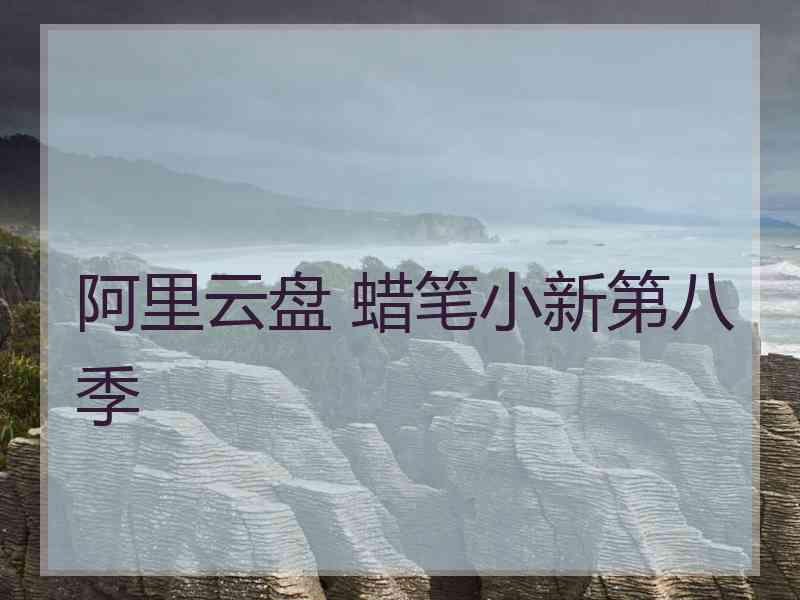 阿里云盘 蜡笔小新第八季