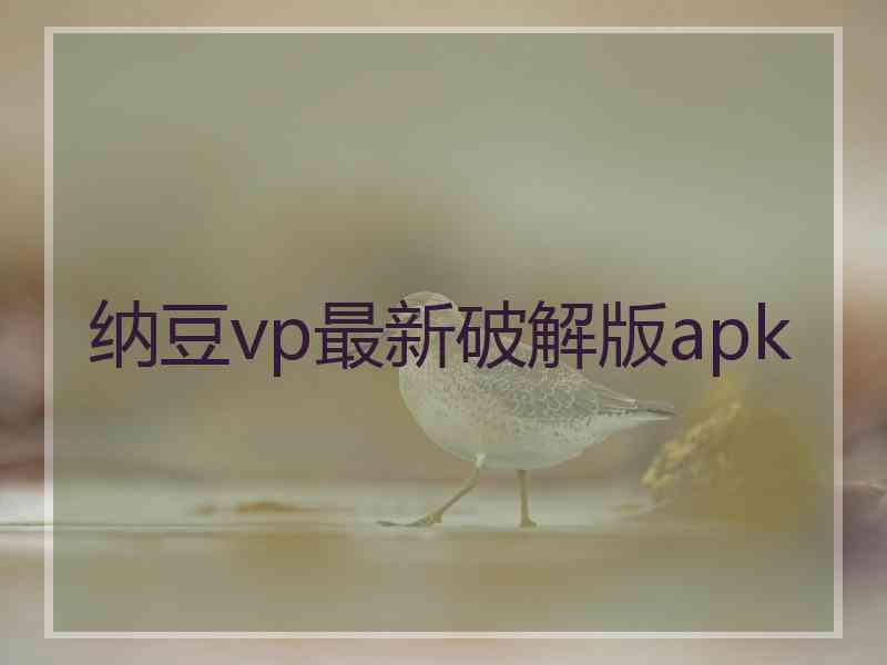 纳豆vp最新破解版apk