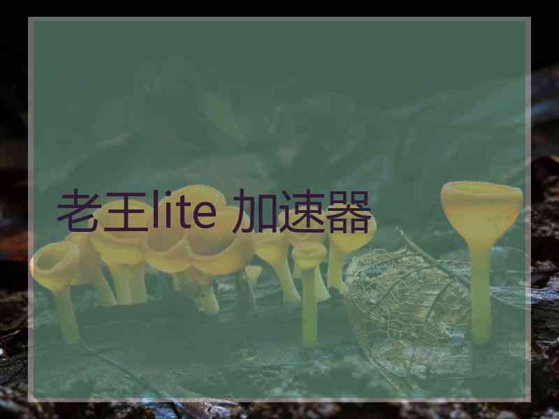 老王lite 加速器