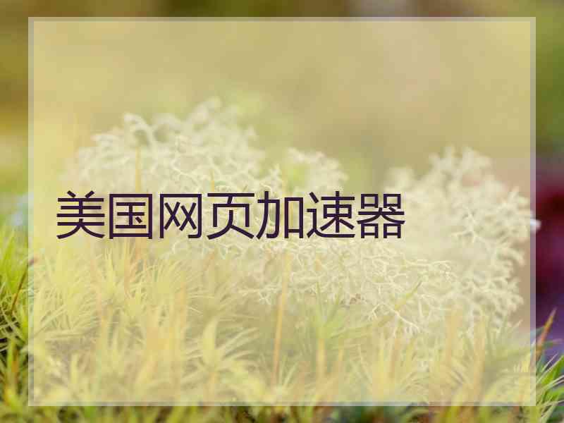 美国网页加速器