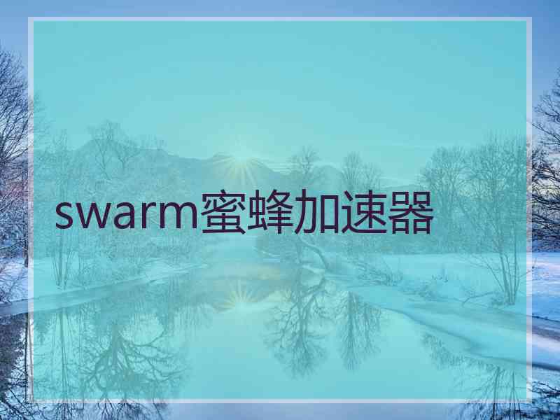 swarm蜜蜂加速器