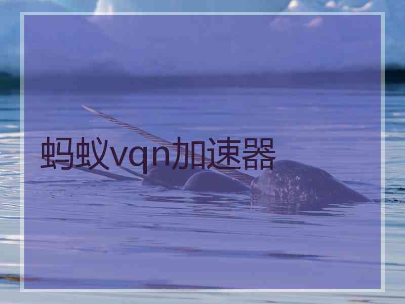 蚂蚁vqn加速器