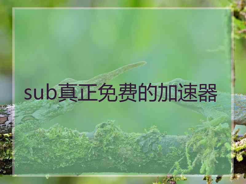 sub真正免费的加速器