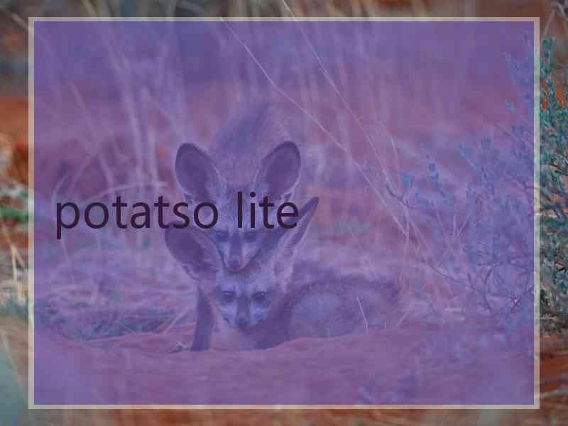 potatso lite