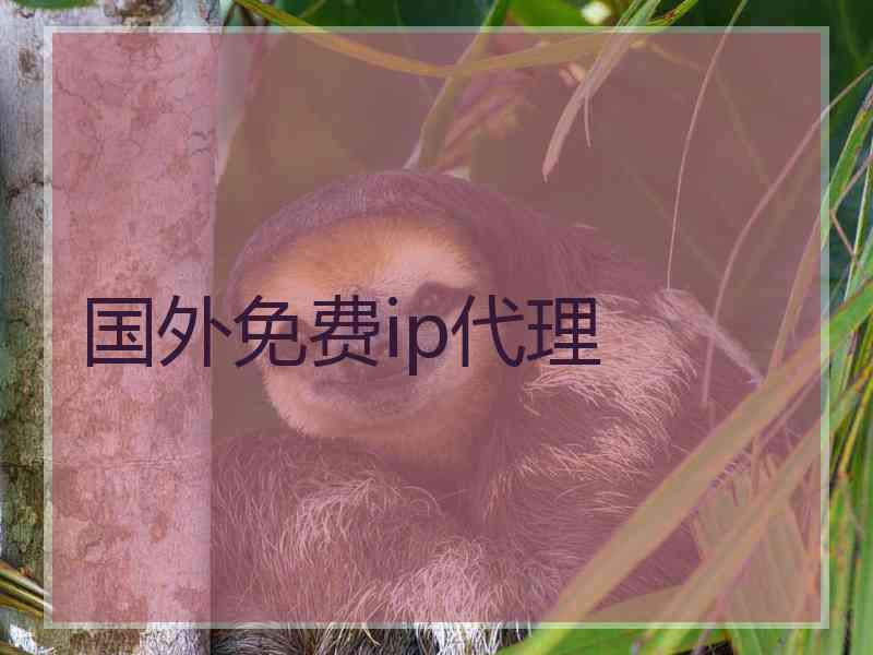 国外免费ip代理