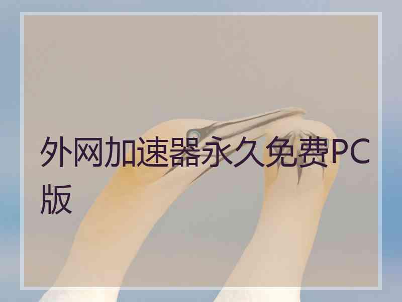 外网加速器永久免费PC版