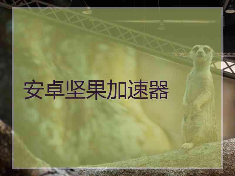 安卓坚果加速器