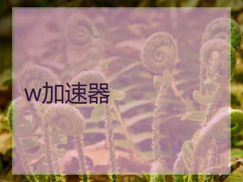 w加速器