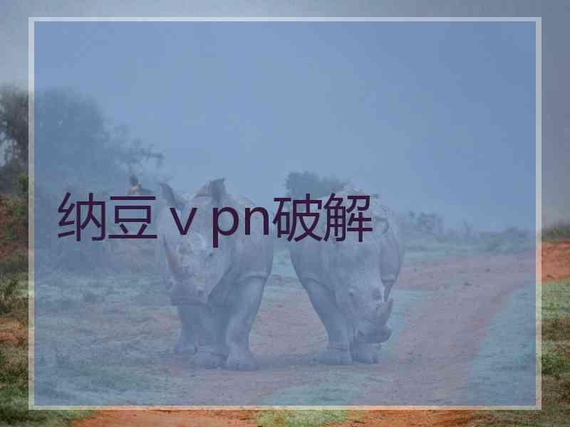 纳豆ⅴpn破解