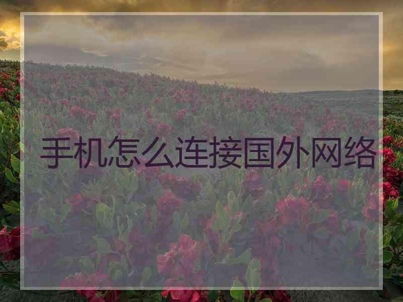 手机怎么连接国外网络