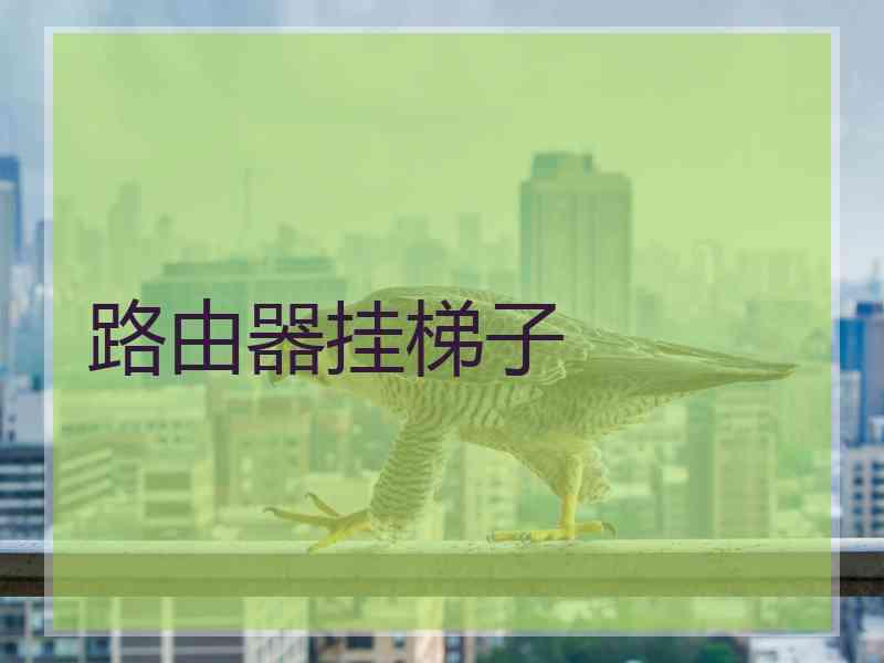 路由器挂梯子
