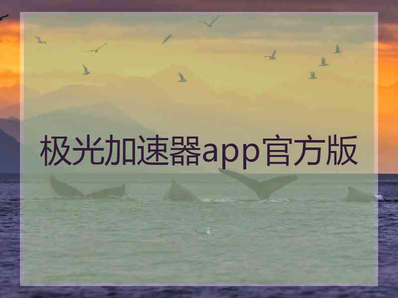 极光加速器app官方版