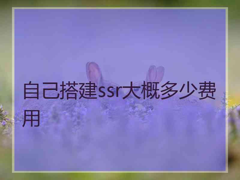 自己搭建ssr大概多少费用
