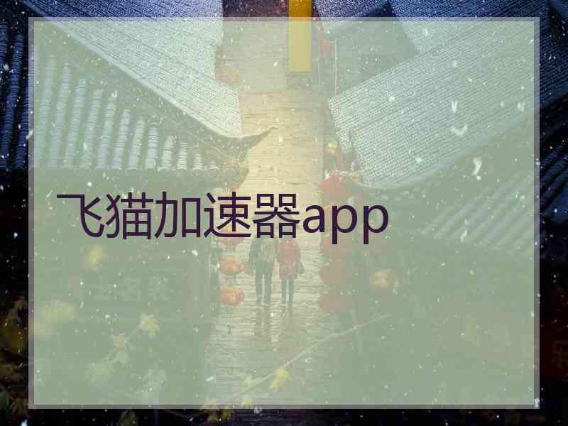 飞猫加速器app