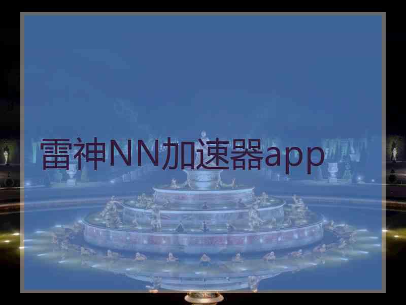 雷神NN加速器app