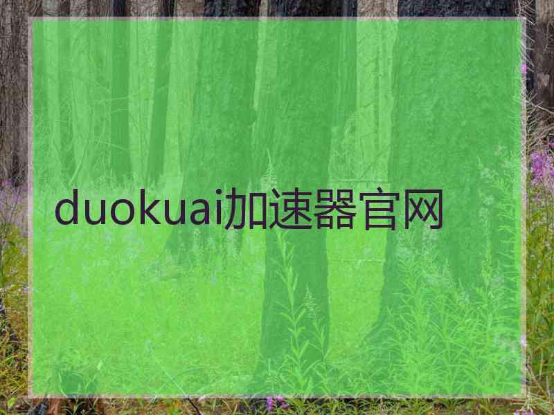 duokuai加速器官网