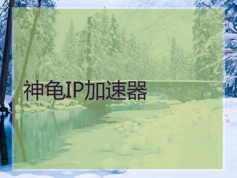 神龟IP加速器
