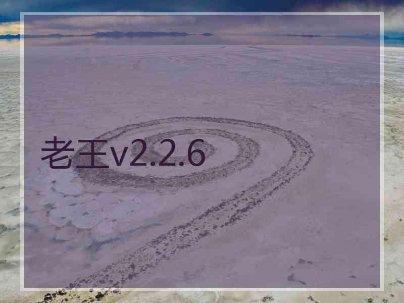老王v2.2.6