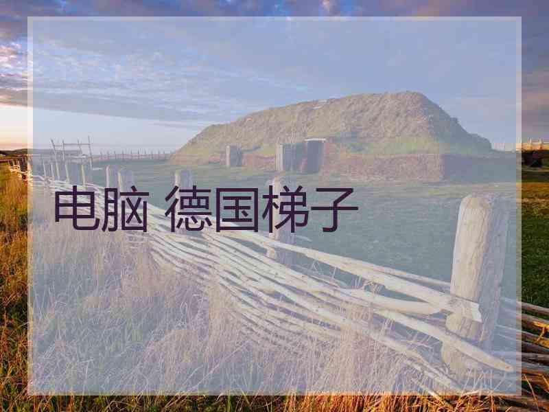 电脑 德国梯子