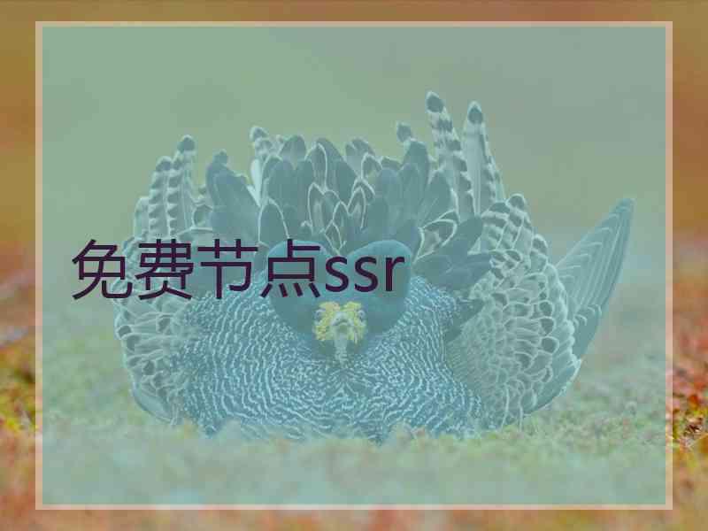 免费节点ssr