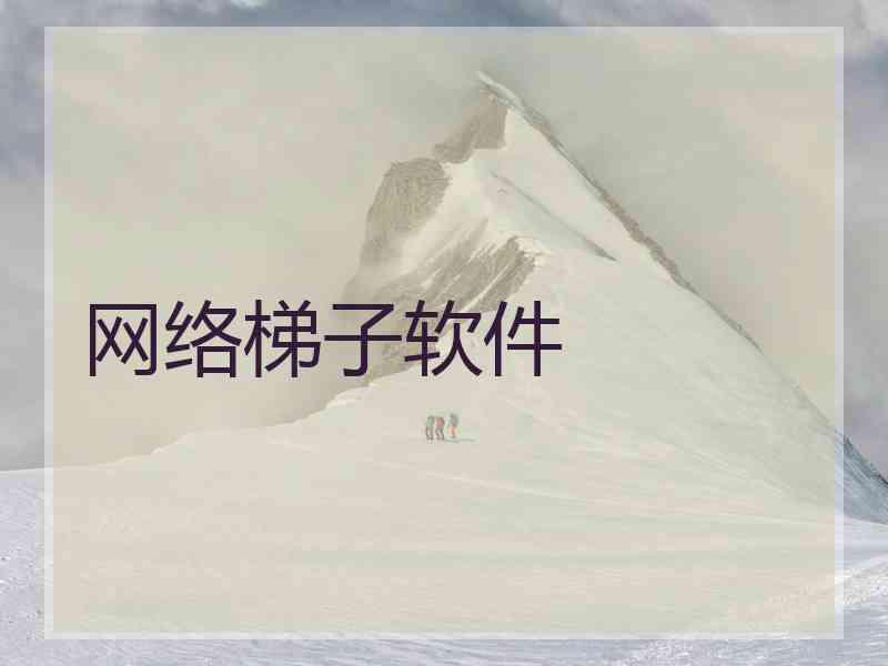 网络梯子软件