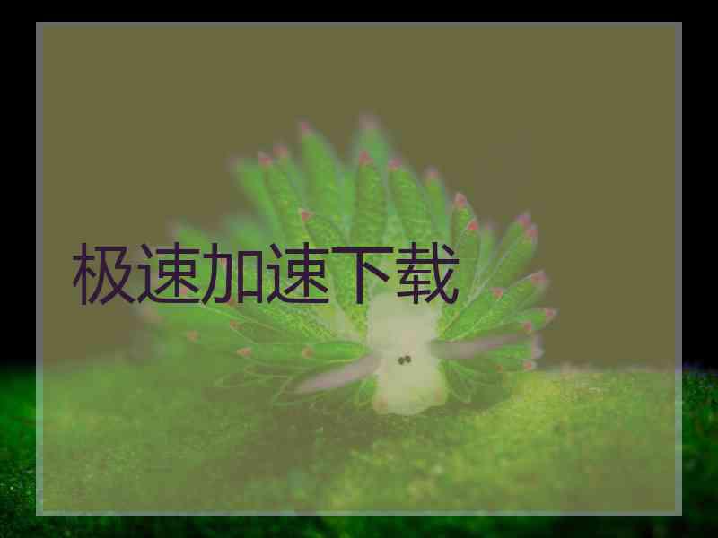 极速加速下载