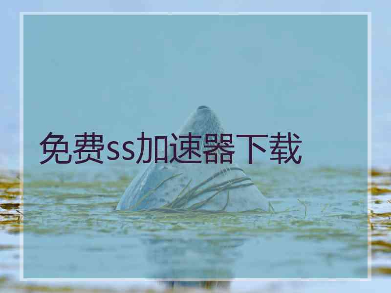 免费ss加速器下载