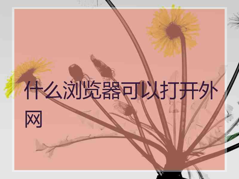 什么浏览器可以打开外网