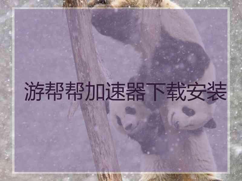 游帮帮加速器下载安装