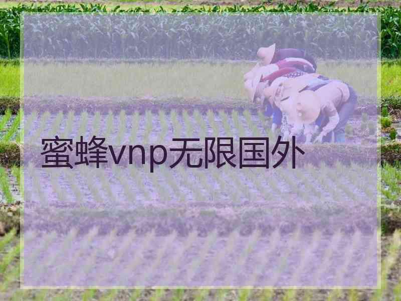 蜜蜂vnp无限国外