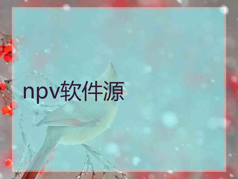npv软件源