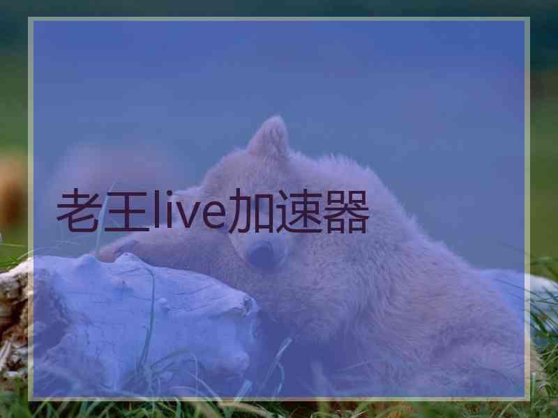 老王live加速器