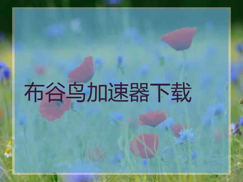 布谷鸟加速器下载