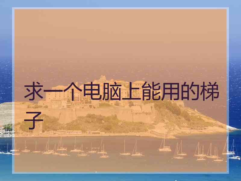 求一个电脑上能用的梯子