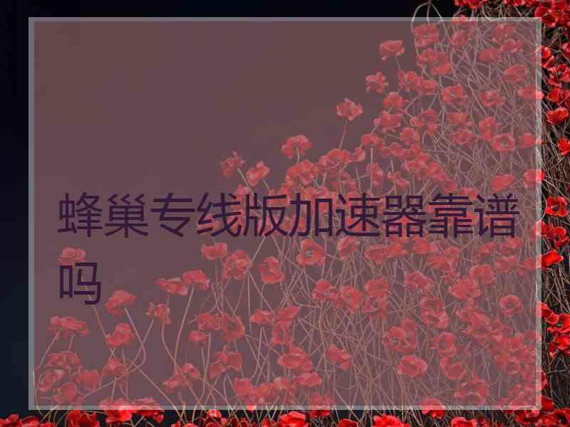 蜂巢专线版加速器靠谱吗