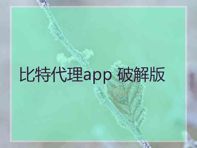 比特代理app 破解版
