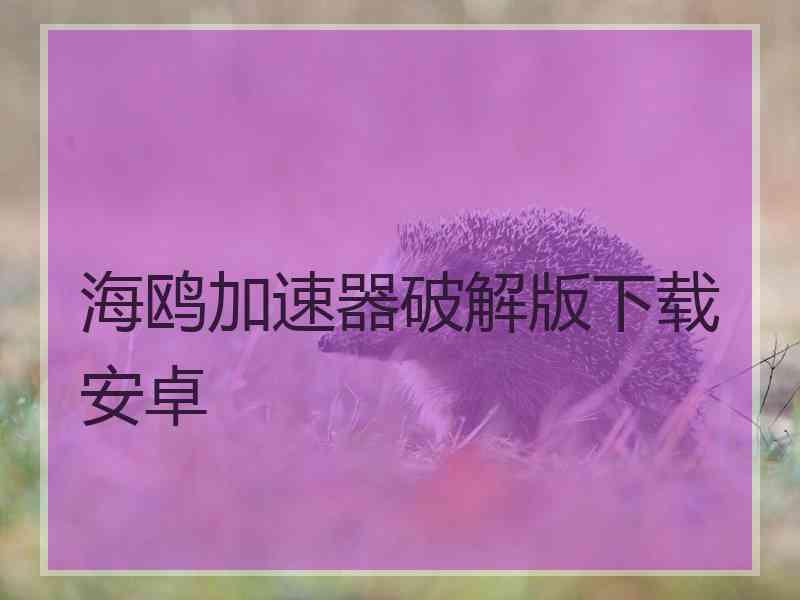 海鸥加速器破解版下载安卓