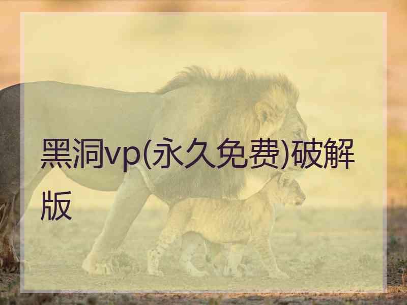 黑洞vp(永久免费)破解版