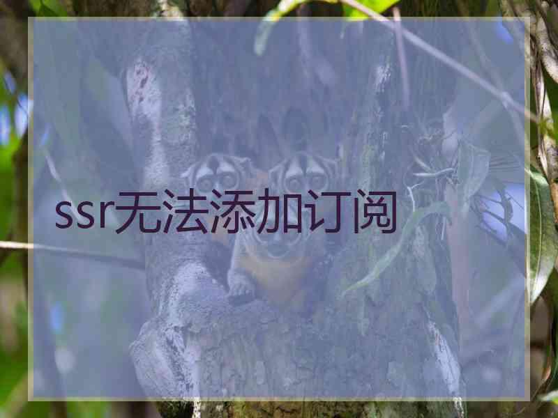 ssr无法添加订阅