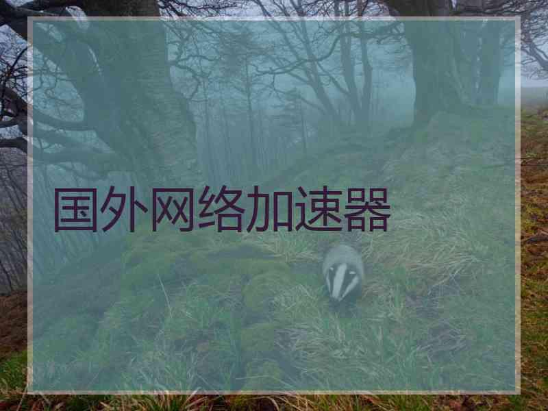 国外网络加速器