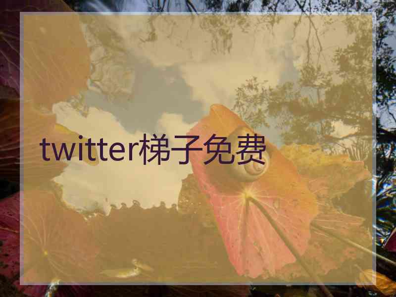 twitter梯子免费