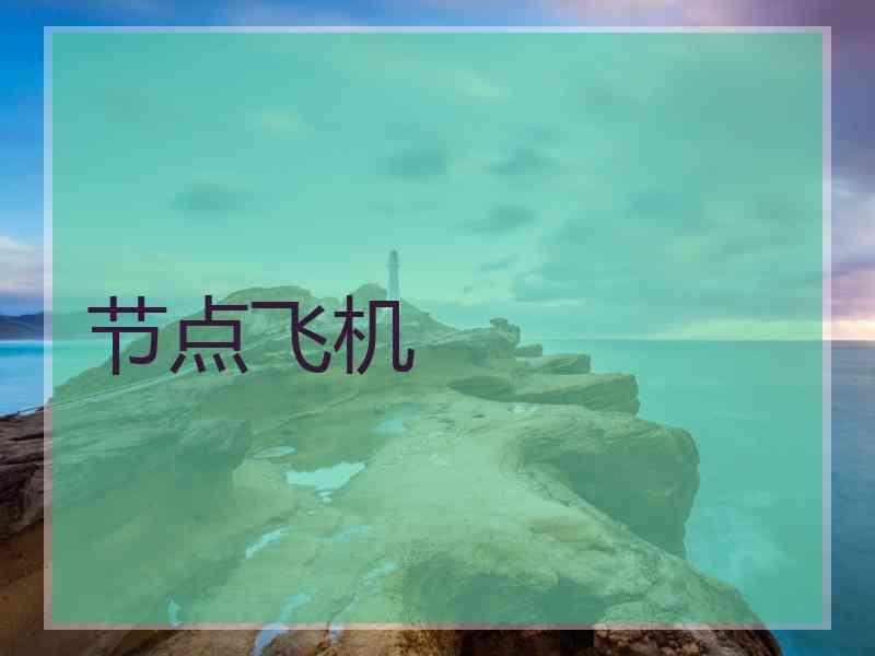 节点飞机