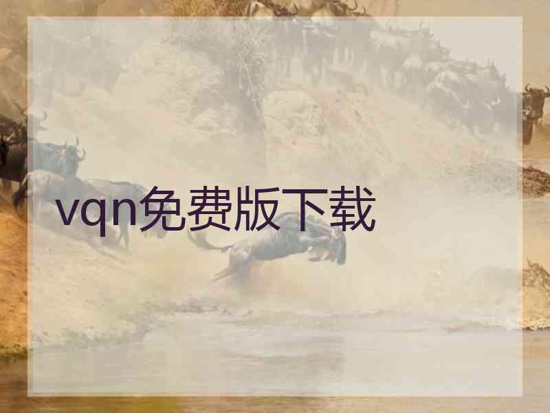 vqn免费版下载