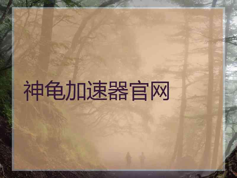 神龟加速器官网