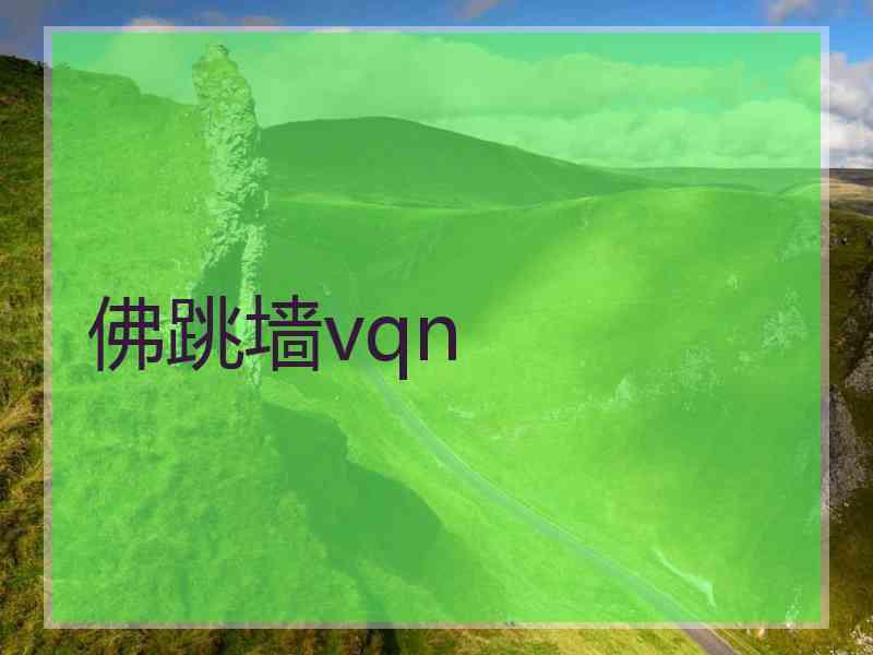 佛跳墙vqn