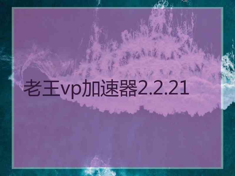 老王vp加速器2.2.21